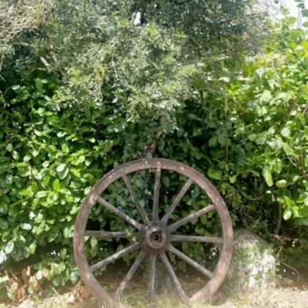 La Grange Du Contoures * Castanet (Aveyron)